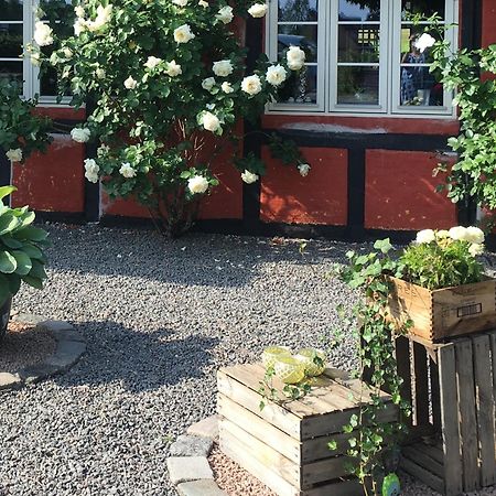 Lolland Bed & Breakfast Sollested  Екстер'єр фото