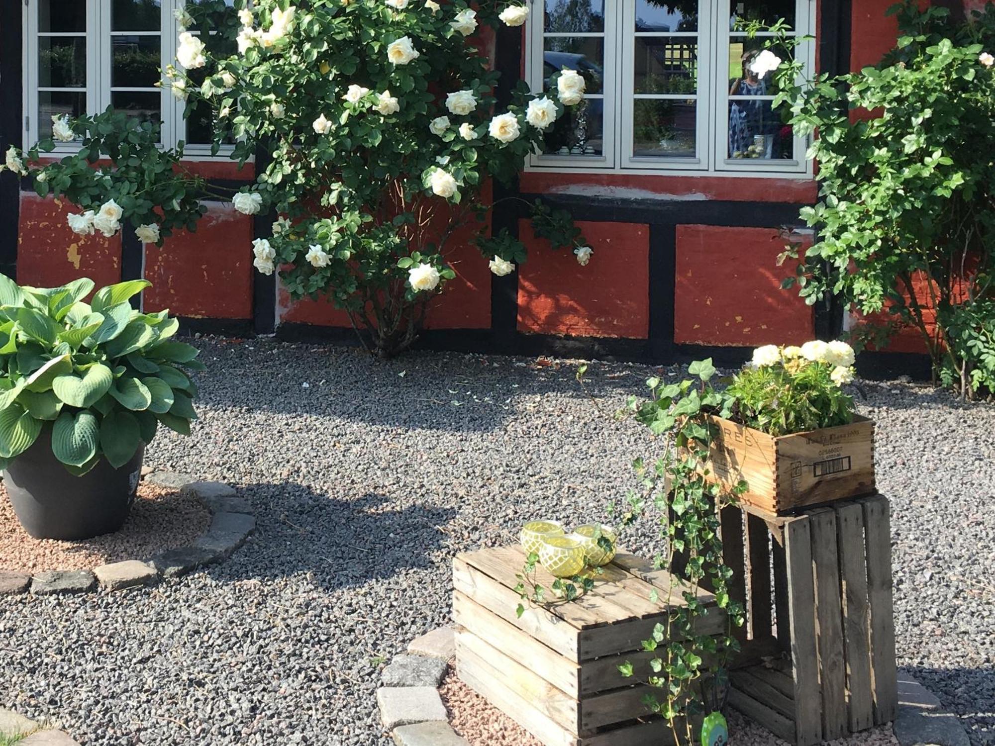 Lolland Bed & Breakfast Sollested  Екстер'єр фото