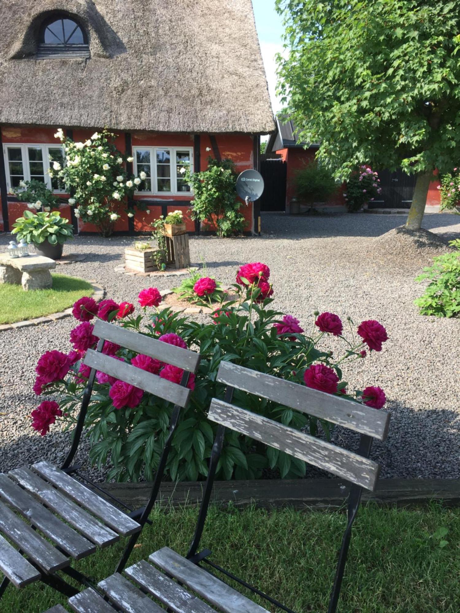 Lolland Bed & Breakfast Sollested  Екстер'єр фото